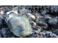 섬마을 굴젓