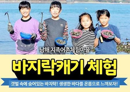 갯벌체험-바지락조개잡이 체험