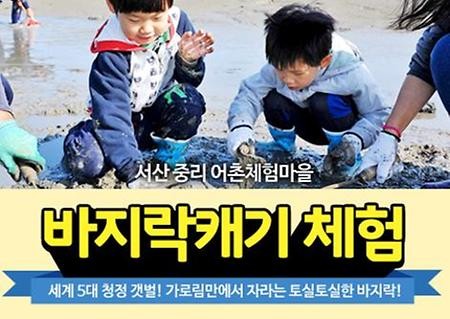 바지락캐기 체험