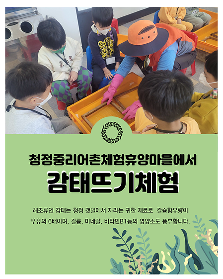 감태뜨기체험