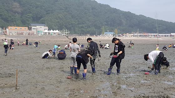 구봉도 낙조마을이 코로나의 긴 잠에서 드디어 깨어났습니다.