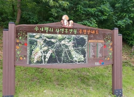 송이밸리자연휴양림