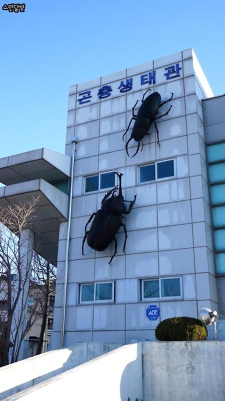 양양 곤충생태관