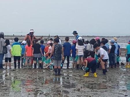 갯벌체험(바지락캐기)